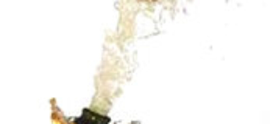 2004 legjelentősebb domain eseményei