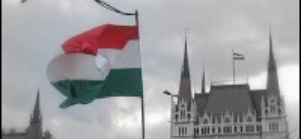 Forradalmi körséta az Interneten