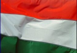 Magyar pártok körüli domainbotrány Romániában