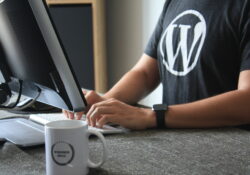 A WordPress már a világ weboldalainak 40%-át biztosítja